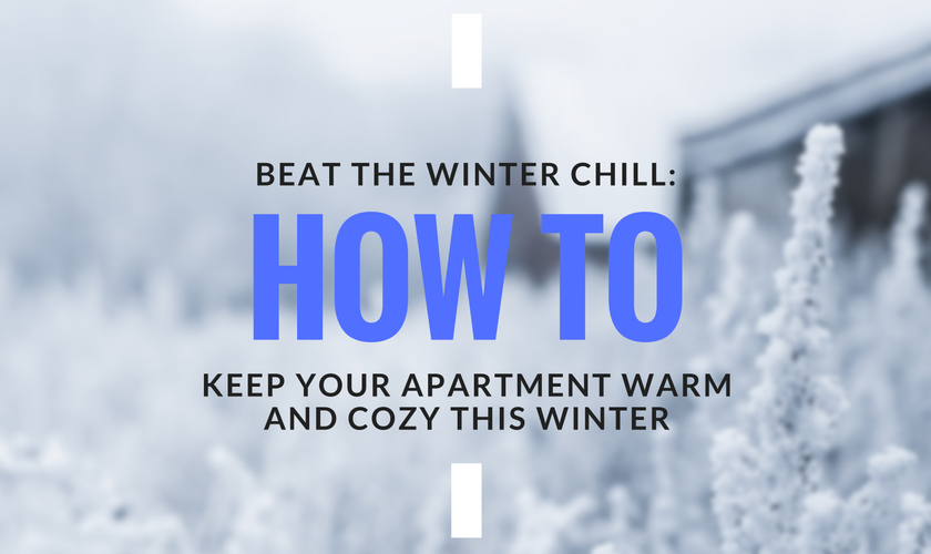 Beat the Winter Chill How To Keep Your Apartment Warm and Cozy This Winter